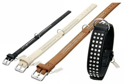 Produktbild von Karlie Nordic Strass Halsband - Biscuit (Hellbeige) - 40 mm / 65 cm