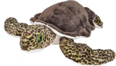 Imagen del producto de Wild Republic - Peluche - Cuddlekins - Tortuga marina, color verde