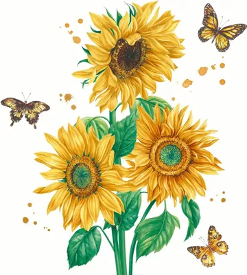 Produktbild von 20 Servietten Sunshine Bloom - Sonnenblumen mit Schmetterlinge 33x33cm