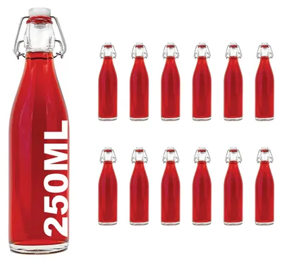 Image de Lot de 12 bouteilles en verre de 250 ml avec bouchon à vis