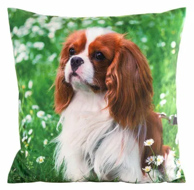 Produktbild von Eurofirany 464115, Mehrfarbig, Polyester, Muster, 200 g/m², 45 x 45 cm