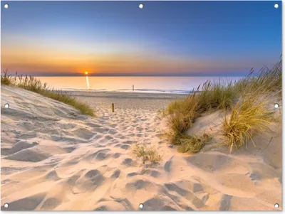 Produktbild von MuchoWow® 120x90 cm Outdoor-Poster Gartendeko Sichtschutz Garten Poster für den Garten  Düne - Sonnenuntergang - Horizont - Strand - Gras