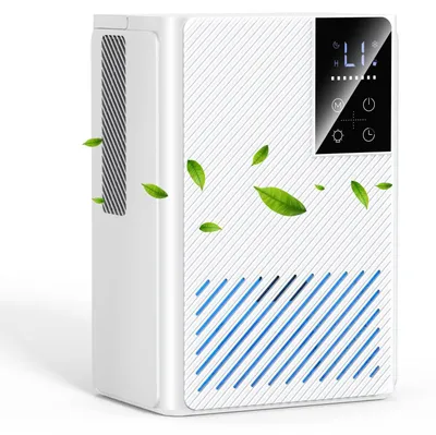 Productafbeelding van Energiezuinige luchtontvochtiger met vochtsensor, verwijdert 600 ml/dag