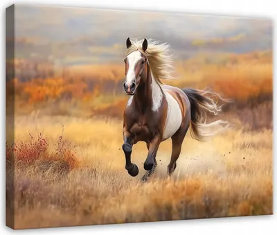 Produktbild von Wandbild Tiere Pferde - 120x80 cm - Leinwandbild - Bilder XXL - Wanddekoration - Leinwandbilder Wohnzimmer Schlafzimmer Flur