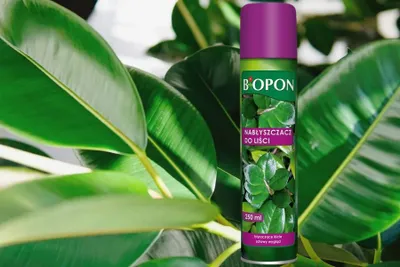 Produktbild von Blattglanzspray 250 Ml Biopon - Br -082