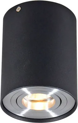 Produktbild von QAZQA - Modern Spot I Spotlight I Deckenspot I Deckenstrahler I Strahler I Lampe I Leuchte schwarz schwenk- und neigbar - Rondoo 1 up I Wohnzimmer I Schlafzimmer - Stahl Zylinder - LED geeignet GU10