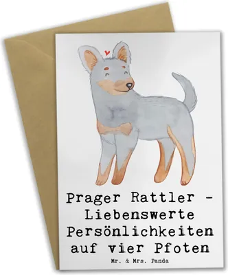 Produktbild von Mr. & Mrs. Panda neujahrskarte Prager Rattler - Weiß - Geschenk, glückwunschkarten, osterkarten, weihnachtskarten, genesungskarte, Hunderassen, einladungskarten, Pflege