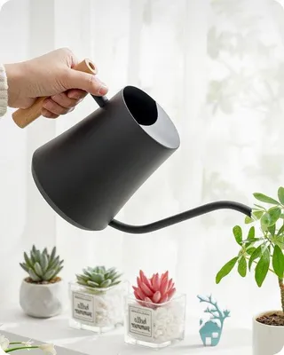 Productafbeelding van Famanu gieter, 1,2 liter - met houten handvat - lange tuit - zwart