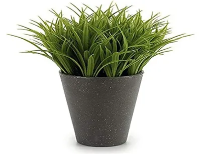 Obrázek produktu pro Dekorativní rostlina (9 x 18 x 9 cm) z plastu