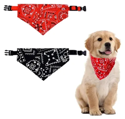 Produktbild von 2 Stück Hunde Bandana Kopftücher, Hundehalstuch mit Halsband, Dreieckstuch für Hunde und Katzen
