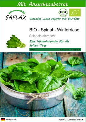 Produktbild von SAFLAX - BIO - Spinat - Winterriese - 250 Samen - Mit keimfreiem Anzuchtsubstrat - Spinacia oleracea