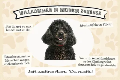 Produktbild von vianmo Holzschild 12x18 cm Tiere Pudel willkommen Zuhause