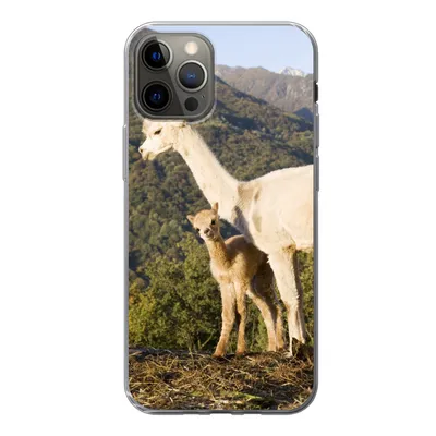 Produktbild von MuchoWow® Handyhülle Schutzhülle Hülle für iPhone 13 Pro Alpakas - Berge - Natur Silikon Softcase Handy Hülle - Handy-Tasche