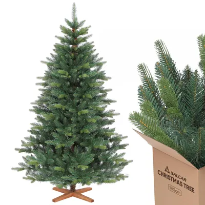 A Christmas tree and a cardboard box with Christmas tree branches sticking out.