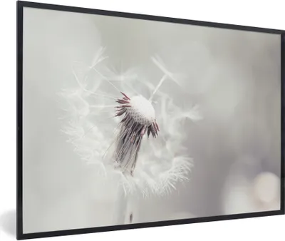 Produktbild von MuchoWow® Gerahmtes Poster Weißer Löwenzahn mit Samen auf hellem Hintergrund 90x60 cm - Poster mit Schwarzem Bilderrahmen Wandposter Rahmen Foto Bilder - Fotorahmen - Foto-Plakat