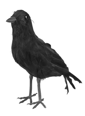 Produktbild von Schwarze Krähe - Horror Halloween deko