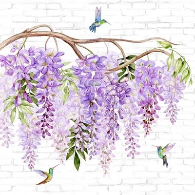 Produktbild von 20 Servietten Wisteria & Hummingbirds - Kolibris an Wisteria 33x33cm