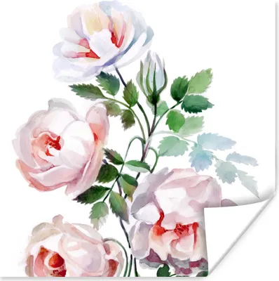 Produktbild von MuchoWow® Poster Aquarell - Rosen - Blumen 100x100 cm - Babyzimmer