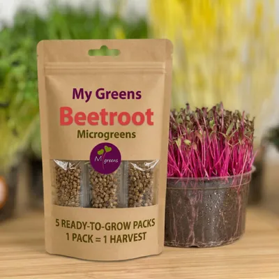 Obrázok produktu pre MyGreens Semienka na Microgreens Cvikla – 5 presných sadbových dávok