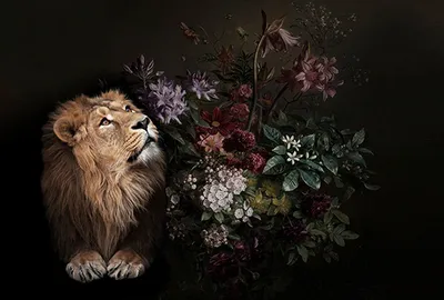 Produktbild von Tadessi Fototapete | Blumen | 4.00 m x 2.70 m | Schwarz | Braun | Wandbild | Digitaldruck