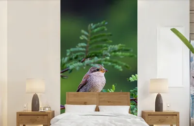 Produktbild von Vogelbaumdeko - Fototapete Vogel - Baum - Wald - Breite 120 cm x Höhe 240 cm