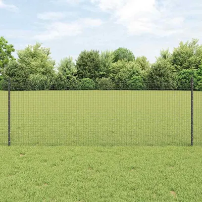 Immagine prodotto di Maison Exclusive - Recinzione con Posto Grigio 0,8 x 50 m Acciaio e PVC
