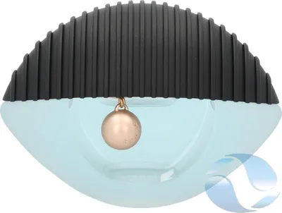 A close-up studio shot of a perfume bottle.