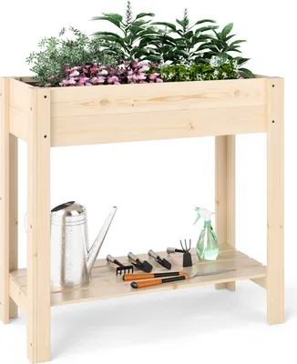 A wooden raised garden bed with plants and gardening tools on a shelf below.