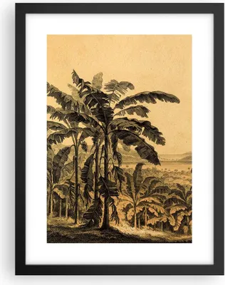 Produktbild von Gerahmtes Poster - Schwarzer Rahmen - Palmen Wald Regnerisch - 30x40 cm - Wand Bild - Wanddeko - Wandbilder - Kunstposter - Wandposter - Bilderrahmen - Bilder - Kunstdruck - P2BPA30x40-4983