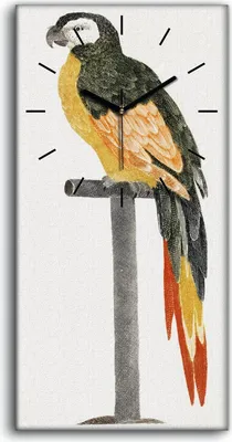 Produktbild von Wanduhr Bürouhr Leinwand Bild 30x60 Zeichnung Tier Vogel Papagei Kunst - schwarze Hände