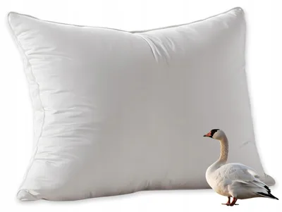 Produktbild von AMW Daunenkissen 50x70 cm 90% Daunen von Gans und Ente, weich, weiß