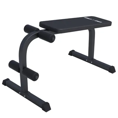 Produktbild von GORILLA SPORTS® Sit Up Bank - 120 x 67 x 63-49 cm, Gepolsterte Beinfixierung, bis 150kg Belastbar, Schwarz - Bauchtrainer, Hantelbank, Trainingsbank