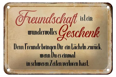 Produktbild von Blechschild Spruch 18x12cm Freundschaft ist ein wundervolles