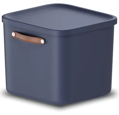 Immagine prodotto di Contenitore di stoccaggio Rotho Maloja con coperchio, capacità 40 litri, grande contenitore in plastica