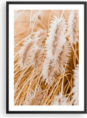 Produktbild von Gerahmtes Poster - Schwarzer Rahmen - Gras Boho Licht - 50x70 cm - Wand Bild - Wanddeko - Wandbilder - Kunstposter - Wandposter - Bilderrahmen - Bilder - Kunstdruck - Wanddekoration - P2BPA50x70-4903