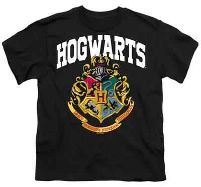 Immagine prodotto di Maglietta per bambini "Hogwarts" di Harry Potter, modello TV36284 (taglia 116), colore nero