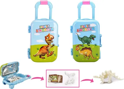 Obrázek produktu pro Dino kostra v kufru