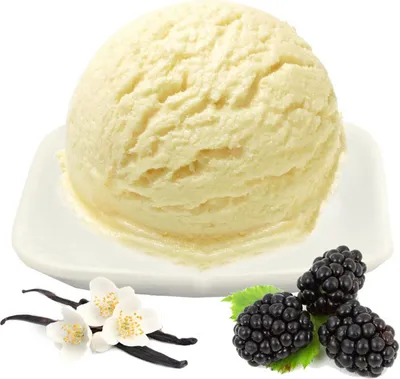 Productafbeelding van Vanille-bramenijsmix, koolhydraatarm, veganistisch, zonder suiker en lactose, 333 g