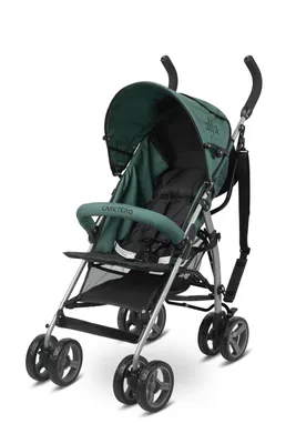 Image de CARETERO Alfa vert foncé Poussette de golf