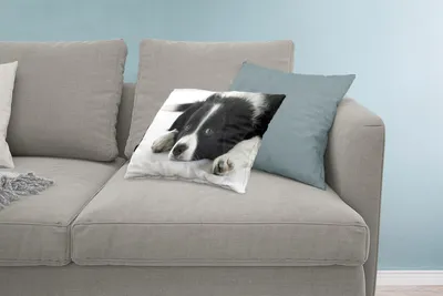 Produktbild von MuchoWow® Zierkissen Sofakissen Wohnzimmer Dekokissen 60x40 cm Ein Border Collie liegt auf dem Boden - Kopfkissen - Polster mit Foto