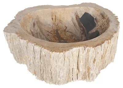 Immagine prodotto di Lavabo da appoggio, legno fossilizzato, circa 45 cm, colore sabbia, codice prodotto: 36.102.16