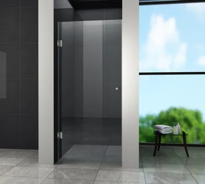 Produktbild von Nischentür BASIC 90 x 190 cm 8 mm ESG Sicherheitsglas