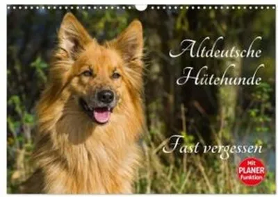 Produktbild von Altdeutsche Hütehunde - Fast vergessen (Wandkalender 2026 DIN A3 quer), CALVENDO Monatskalender