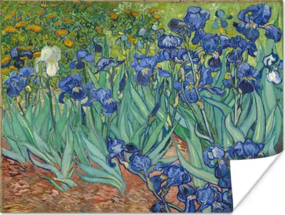Produktbild von MuchoWow® Poster Schwertlilien - Vincent van Gogh 160x120 cm - Foto Plakat