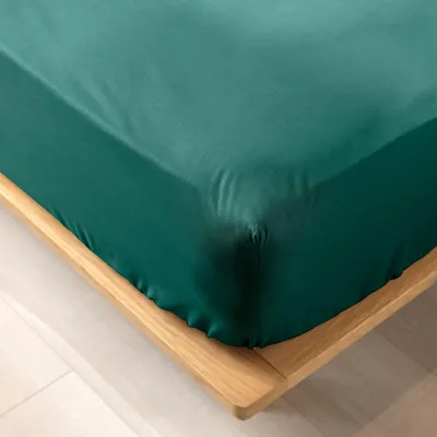 Productafbeelding van Biolina lakens met elastiek, katoen, 180 x 200 cm, groen