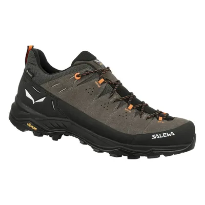 Image de Chaussures Salewa Alp Trainer 2 Gtx 614007953