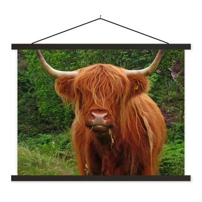 Produktbild von MuchoWow® Textilposter Schottischer Highlander - Kuh - Gras 120x90 cm mit schwarzem Rahmen - Aufhänger für Poster