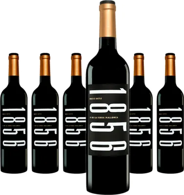 Produktbild von 6 x Macià Batle 1856 Tinto
