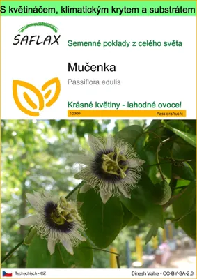 Obrázek produktu pro SAFLAX Garden to go - mučenka - Passiflora edulis - 40 Semena - S květináčem, klimatickou poklicí a pěstebním substrátem