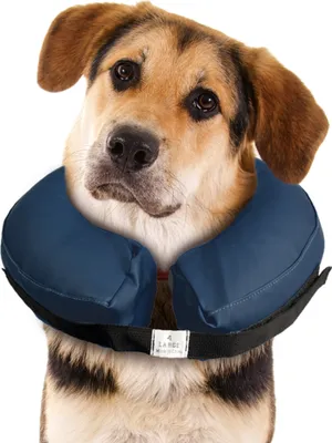 Produktbild von aufblasbarer Hunde Halskragen / Schutzkragen Karlie Gr. L Ø40-60cm